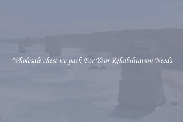 Wholesale chest ice pack For Your Rehabilitation Needs