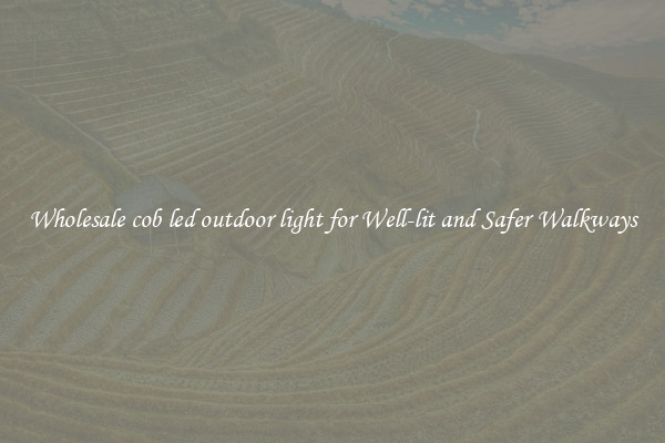 Wholesale cob led outdoor light for Well-lit and Safer Walkways