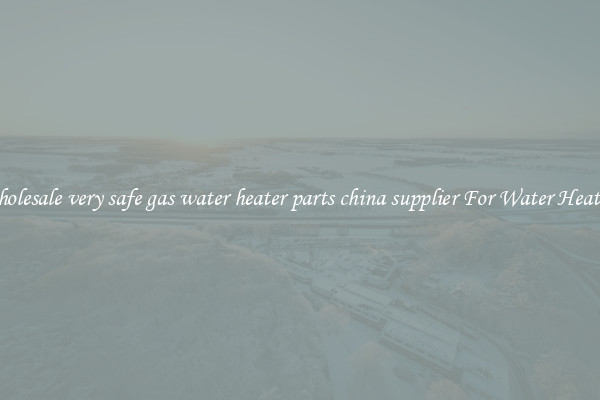 Wholesale very safe gas water heater parts china supplier For Water Heating