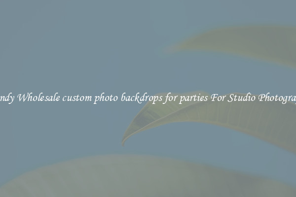 Trendy Wholesale custom photo backdrops for parties For Studio Photography