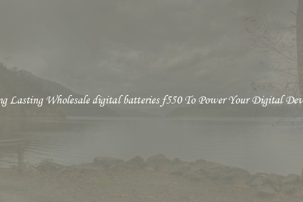 Long Lasting Wholesale digital batteries f550 To Power Your Digital Devices