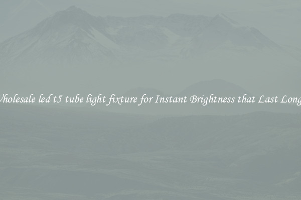 Wholesale led t5 tube light fixture for Instant Brightness that Last Longer