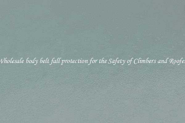 Wholesale body belt fall protection for the Safety of Climbers and Roofers