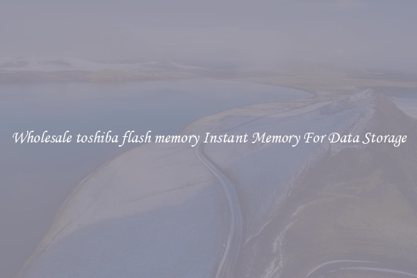 Wholesale toshiba flash memory Instant Memory For Data Storage