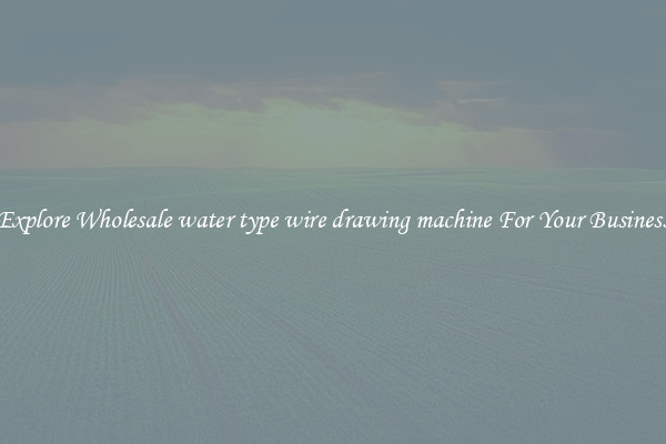  Explore Wholesale water type wire drawing machine For Your Business 