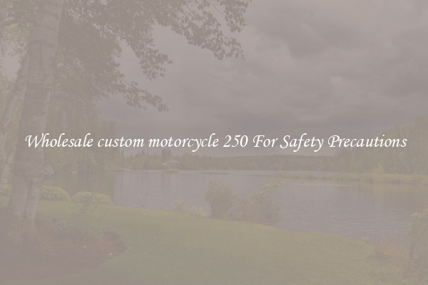 Wholesale custom motorcycle 250 For Safety Precautions