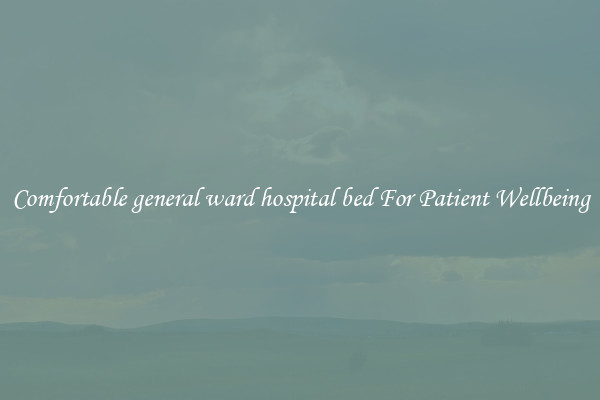 Comfortable general ward hospital bed For Patient Wellbeing