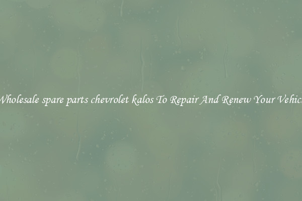 Wholesale spare parts chevrolet kalos To Repair And Renew Your Vehicle