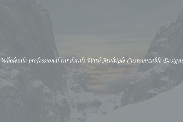 Wholesale professional car decals With Multiple Customizable Designs
