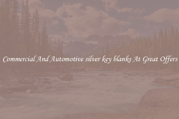 Commercial And Automotive silver key blanks At Great Offers