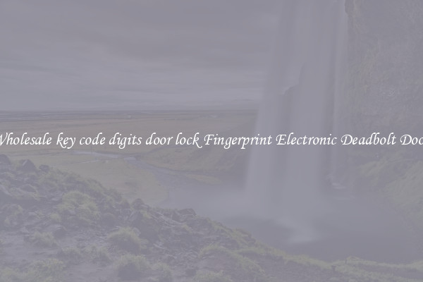 Wholesale key code digits door lock Fingerprint Electronic Deadbolt Door 