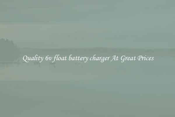 Quality 6v float battery charger At Great Prices