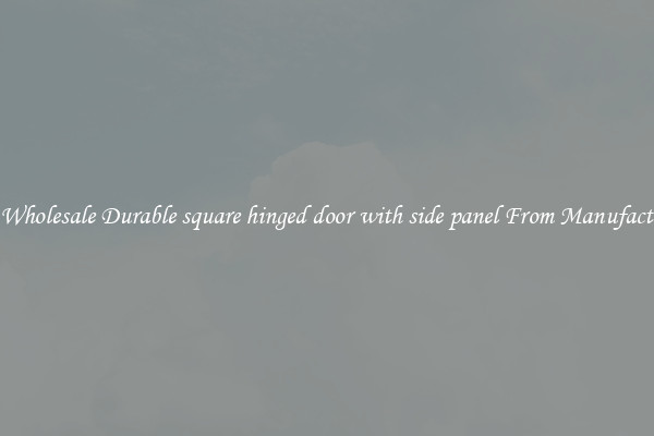 Buy Wholesale Durable square hinged door with side panel From Manufacturers