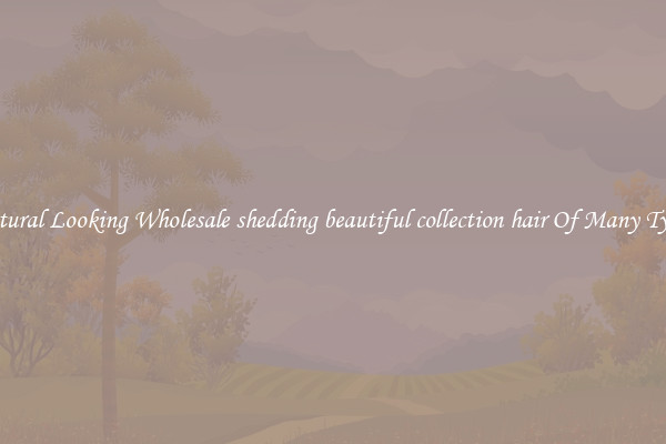Natural Looking Wholesale shedding beautiful collection hair Of Many Types