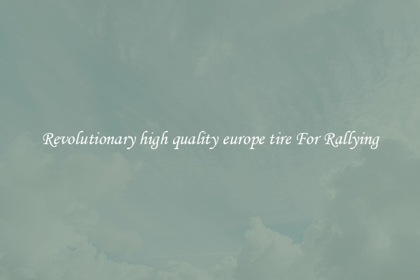 Revolutionary high quality europe tire For Rallying