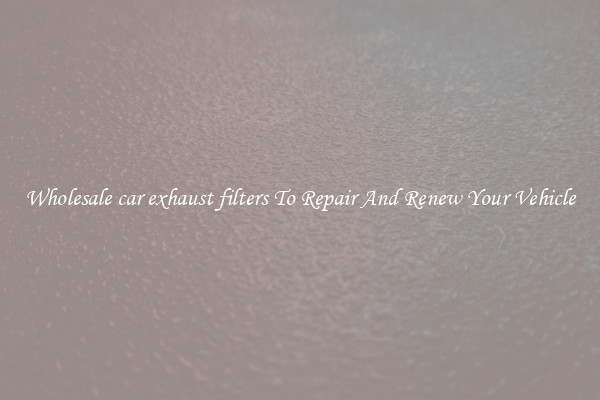 Wholesale car exhaust filters To Repair And Renew Your Vehicle
