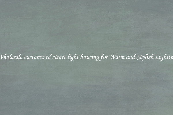 Wholesale customized street light housing for Warm and Stylish Lighting