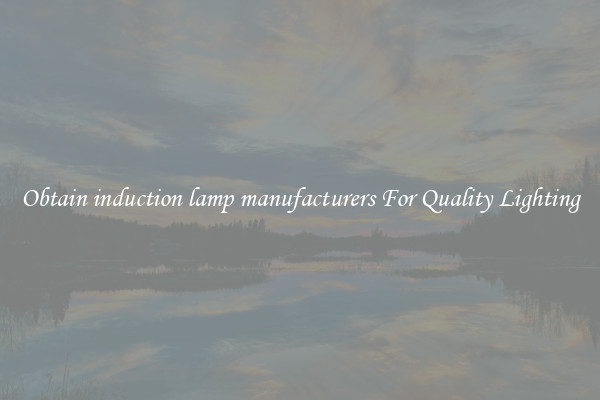 Obtain induction lamp manufacturers For Quality Lighting