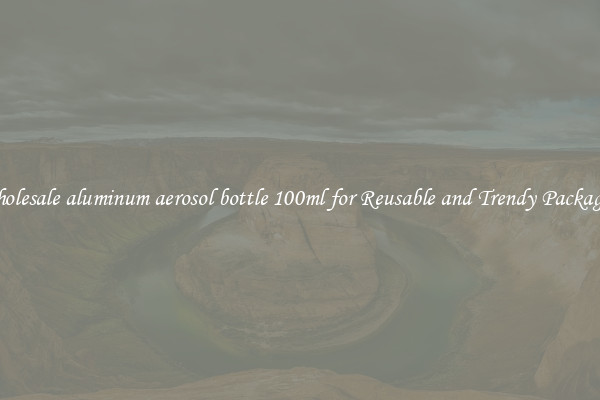 Wholesale aluminum aerosol bottle 100ml for Reusable and Trendy Packaging