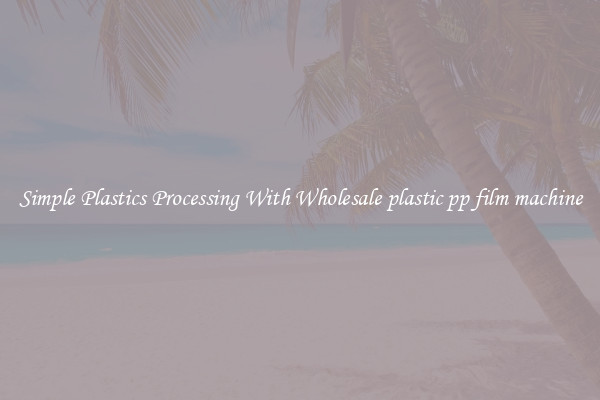 Simple Plastics Processing With Wholesale plastic pp film machine