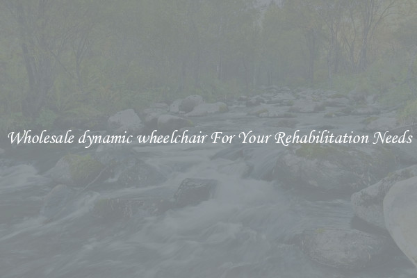Wholesale dynamic wheelchair For Your Rehabilitation Needs