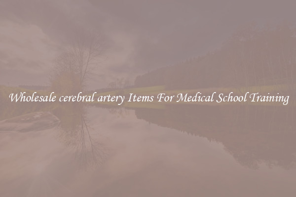 Wholesale cerebral artery Items For Medical School Training