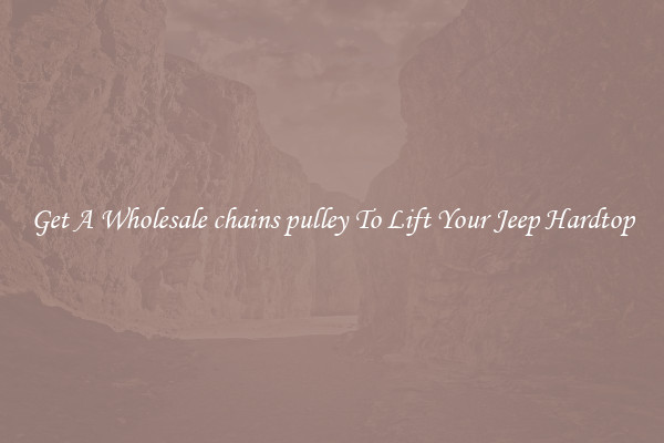 Get A Wholesale chains pulley To Lift Your Jeep Hardtop