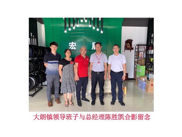 東莞大朗鎮領導前來海角社区国产精品伦子伦免费纏繞膜廠家指導工作