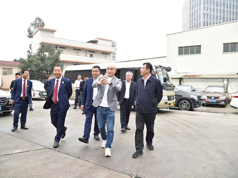 海角在线观看免费网廠家
